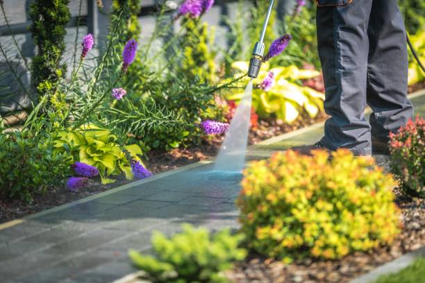 Professional Pressure Washing Services in Cascades, VA